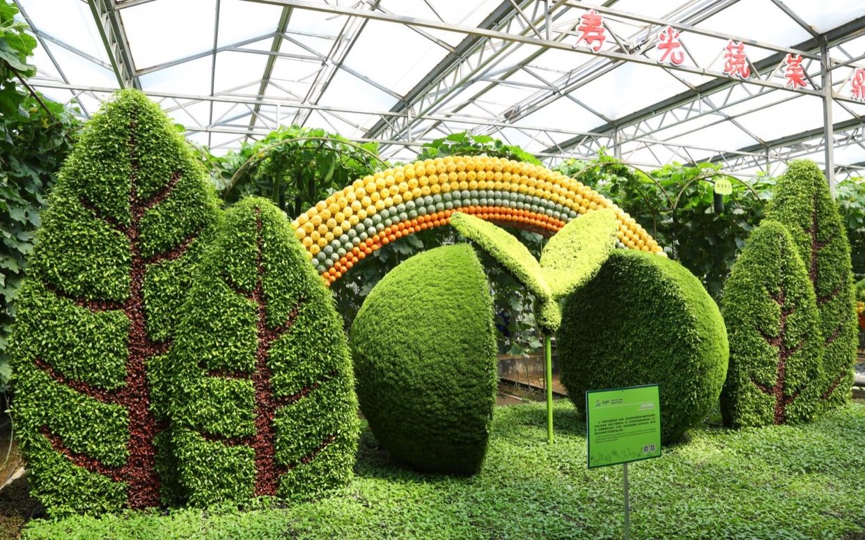 寿光市：第22届蔬菜科技博览会展开幕，饱览19届菜博会的蔬菜创意景观 – 69农业规划设计.兆联顾问公司