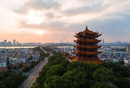 ▲图片来源:新京报网
