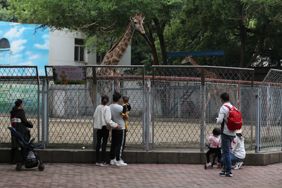 武汉动物园今日起有序恢复开放
