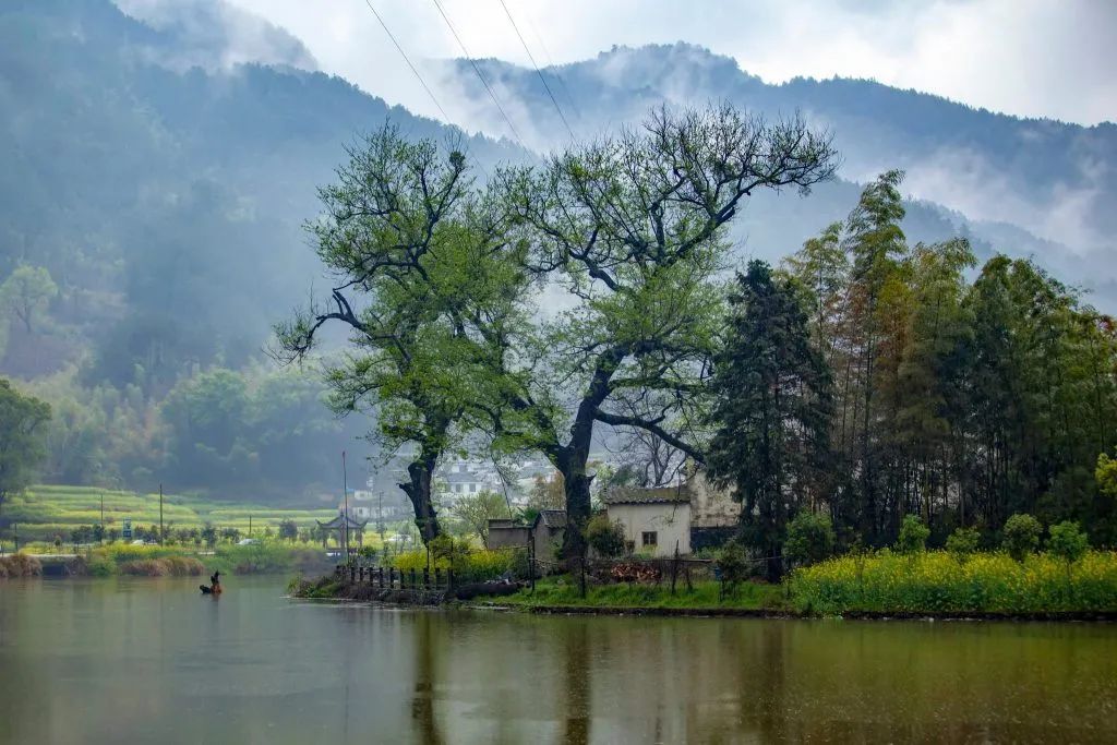 美媒预感：疫情过后 中国游客可能会排斥一些国