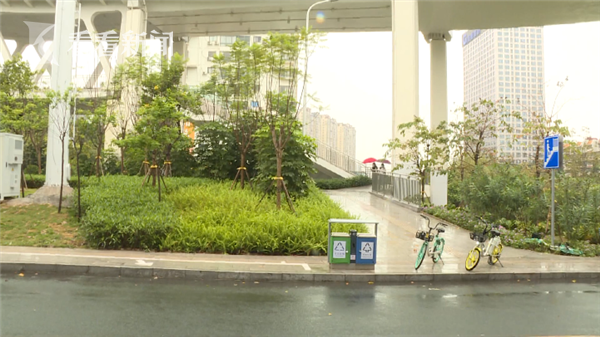 女子夜归遭陌生男袭击 因身高优势惊险挣脱