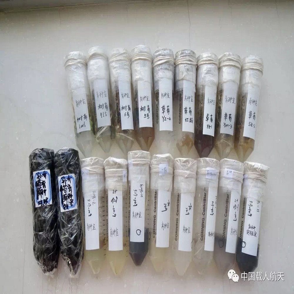 中国航天日：邀你见证中国载人航天的荣耀时刻