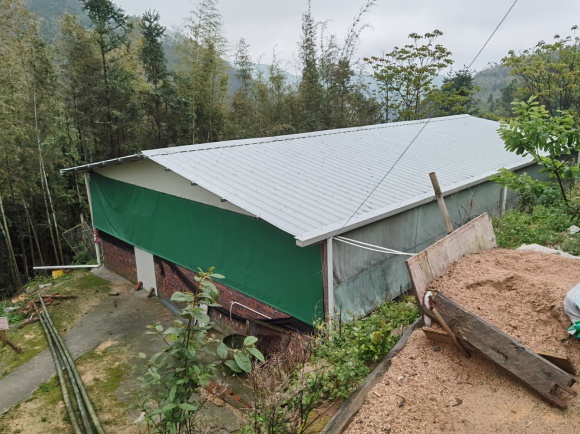  深山里的豪猪养殖场。摄影：梁宙