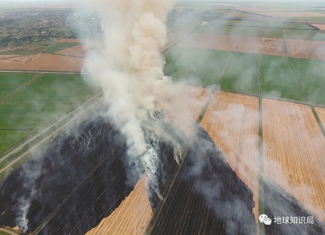 农村烧秸秆为何屡禁不止？