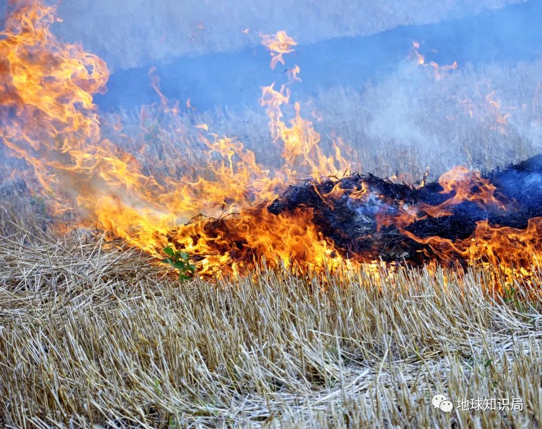 农村烧秸秆为何屡禁不止?