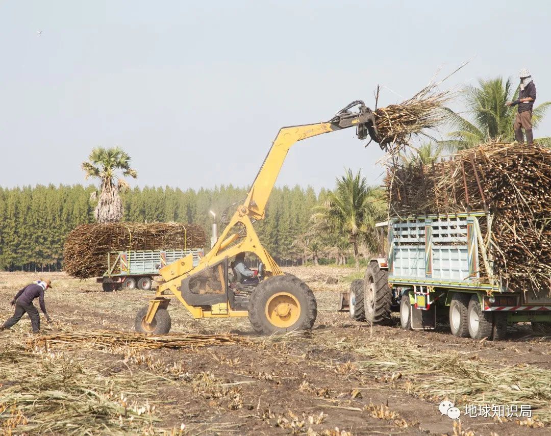 农村烧秸秆为何屡禁不止?
