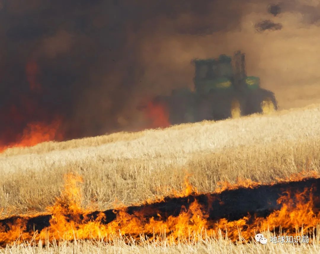 农村烧秸秆为何屡禁不止?