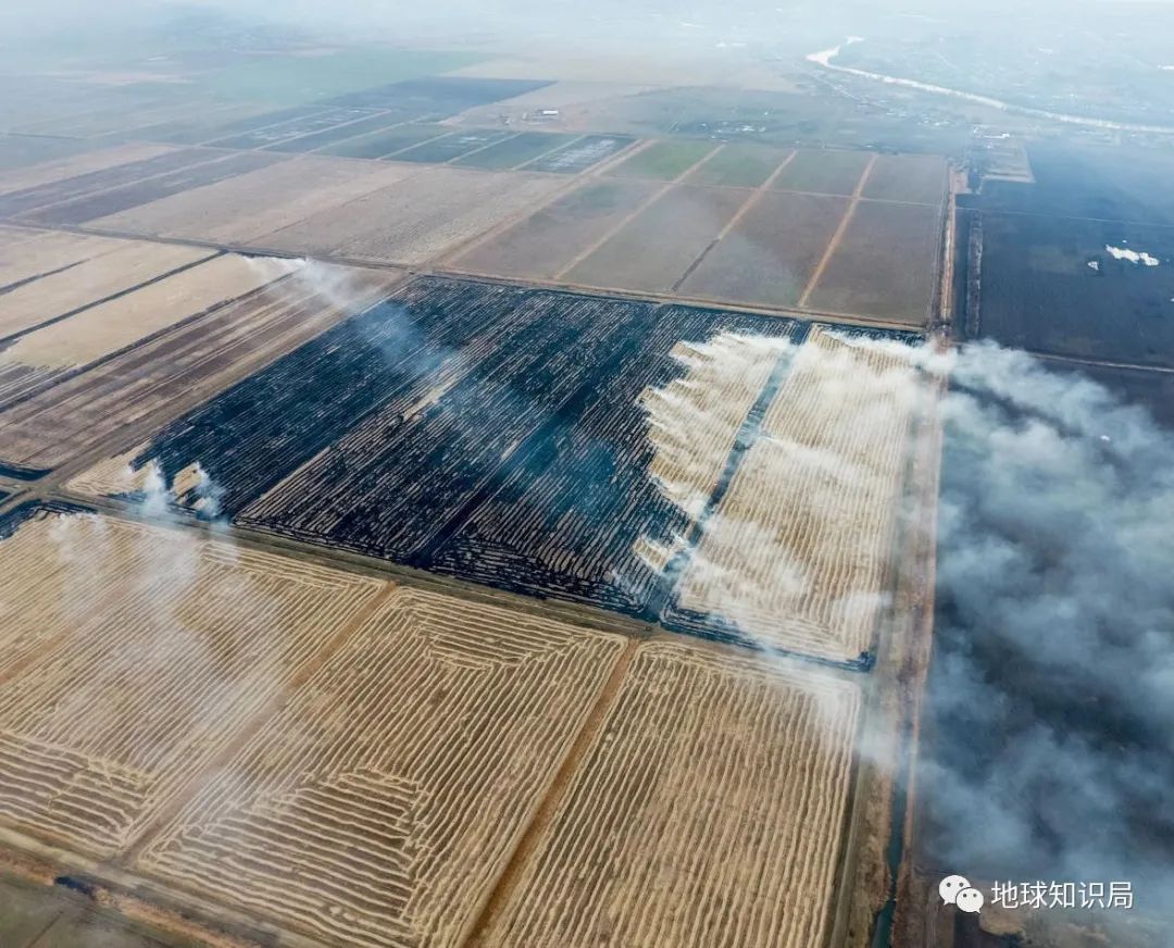农村烧秸秆为何屡禁不止?
