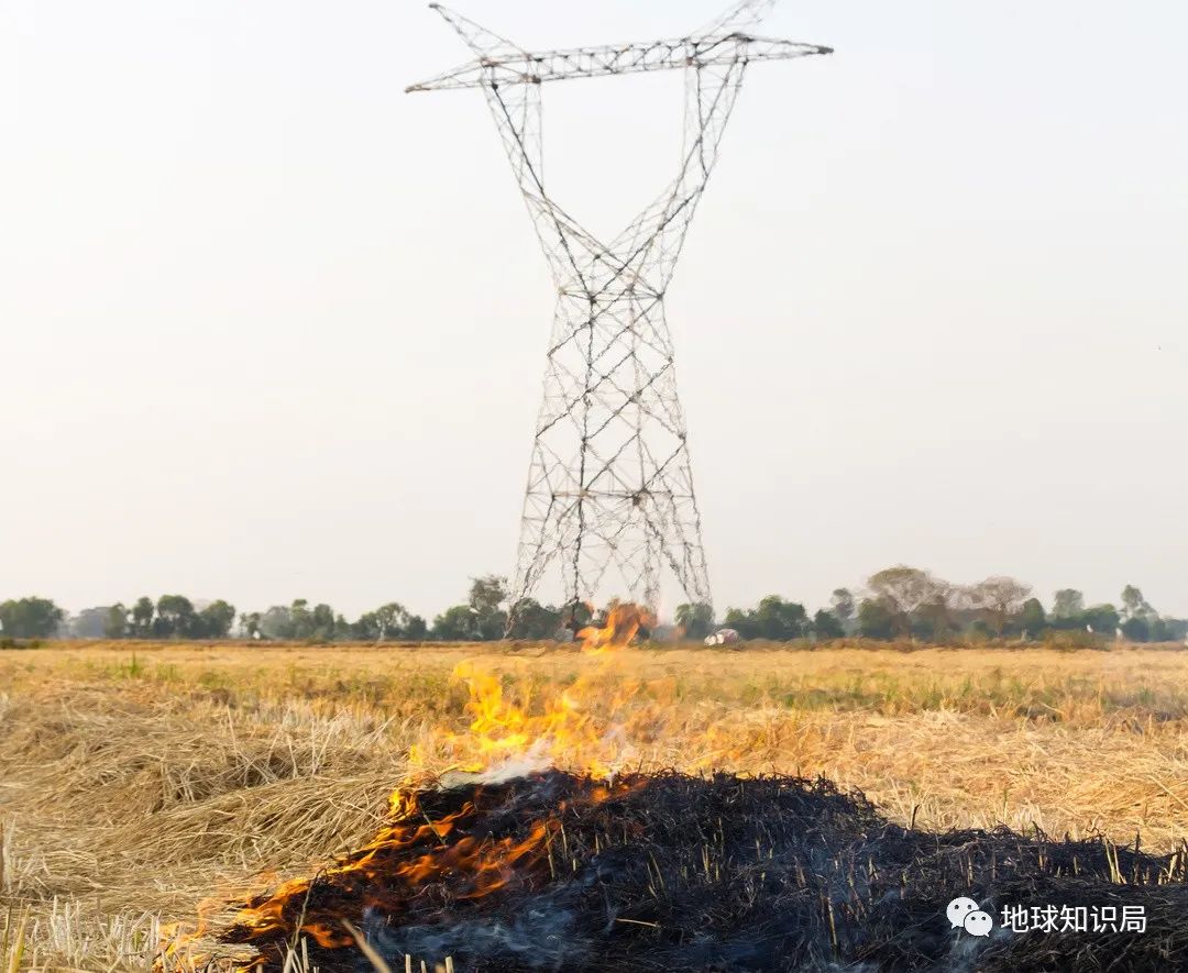 农村烧秸秆为何屡禁不止？