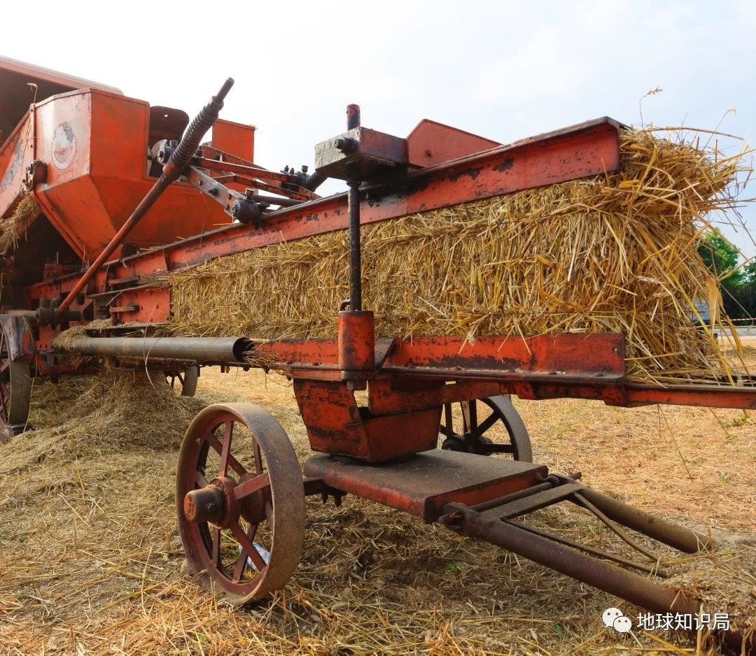 农村烧秸秆为何屡禁不止？