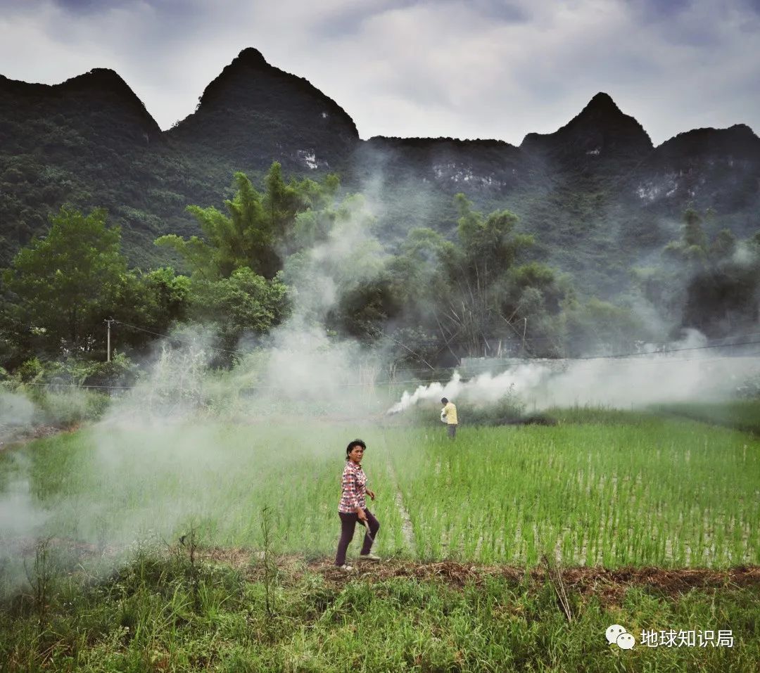农村烧秸秆为何屡禁不止？