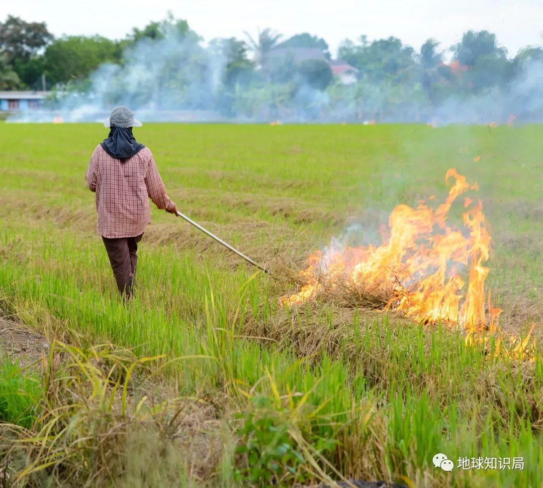 农村烧秸秆为何屡禁不止？