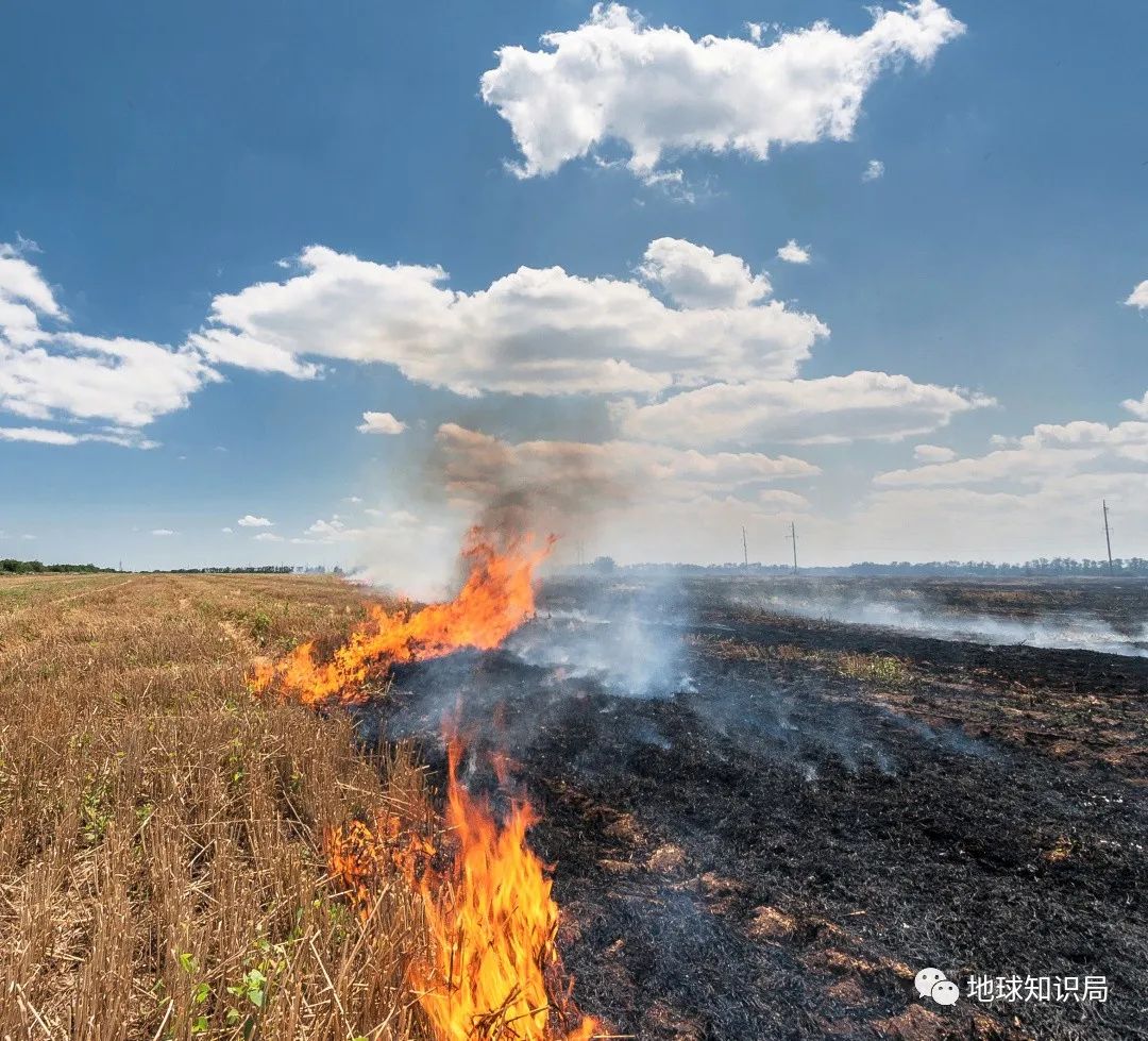 农村烧秸秆为何屡禁不止？