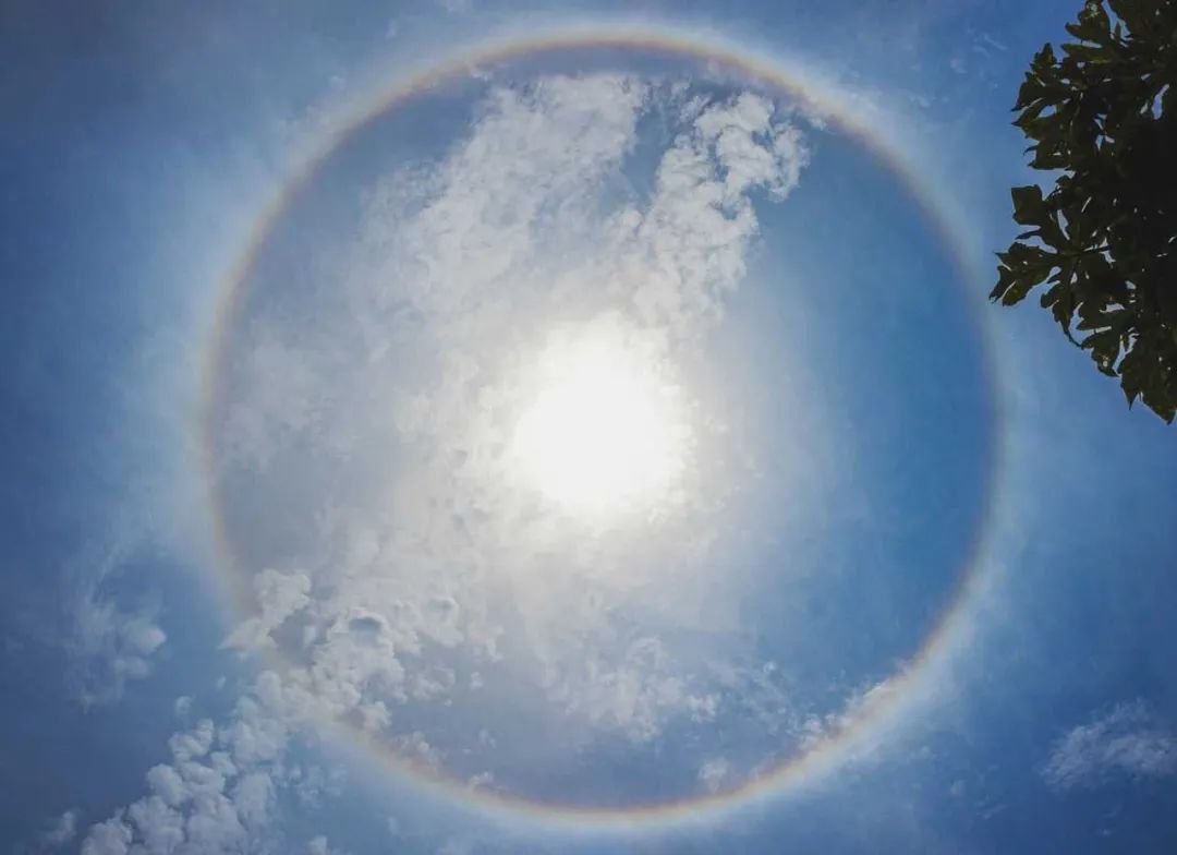 【美呆】太阳被"彩虹"包围了!今天日晕奇观刷屏澄海人朋友圈!