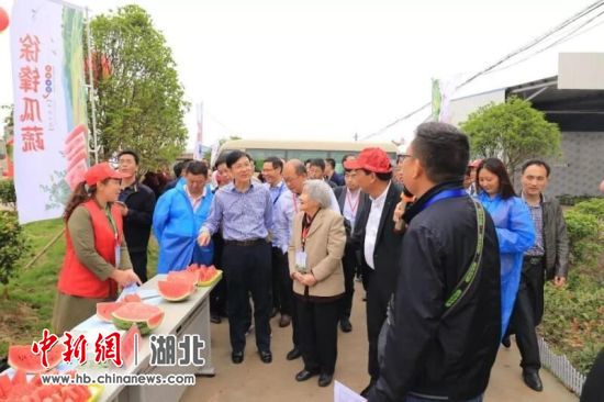 石首市委常委,副市长赵文魁将走进网络直播间带货|石首_新浪网