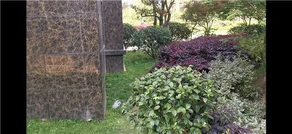 37岁海归女博士带着5个月的女儿跳楼自杀