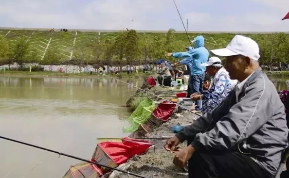 老了,找几个志同道合的知己建个院子,“同居式”养老,太美了!