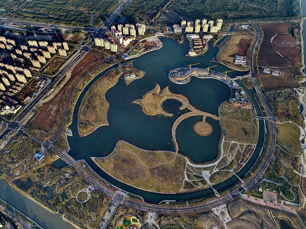 图说：上海之鱼 采访对象供图