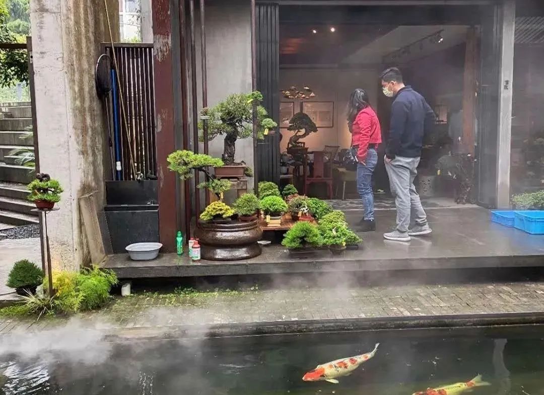 老了,找几个志同道合的知己建个院子,“同居式”养老,太美了!