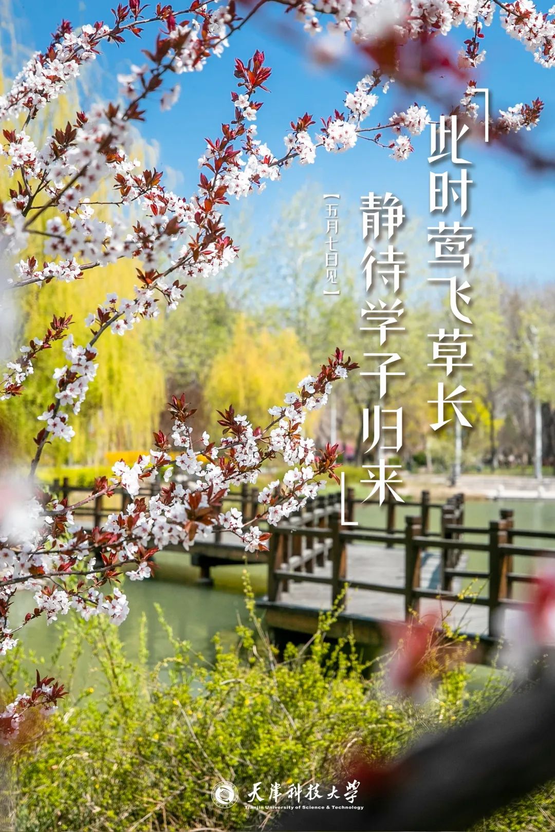 @全体!快来领取天津科技大学专属返校海报