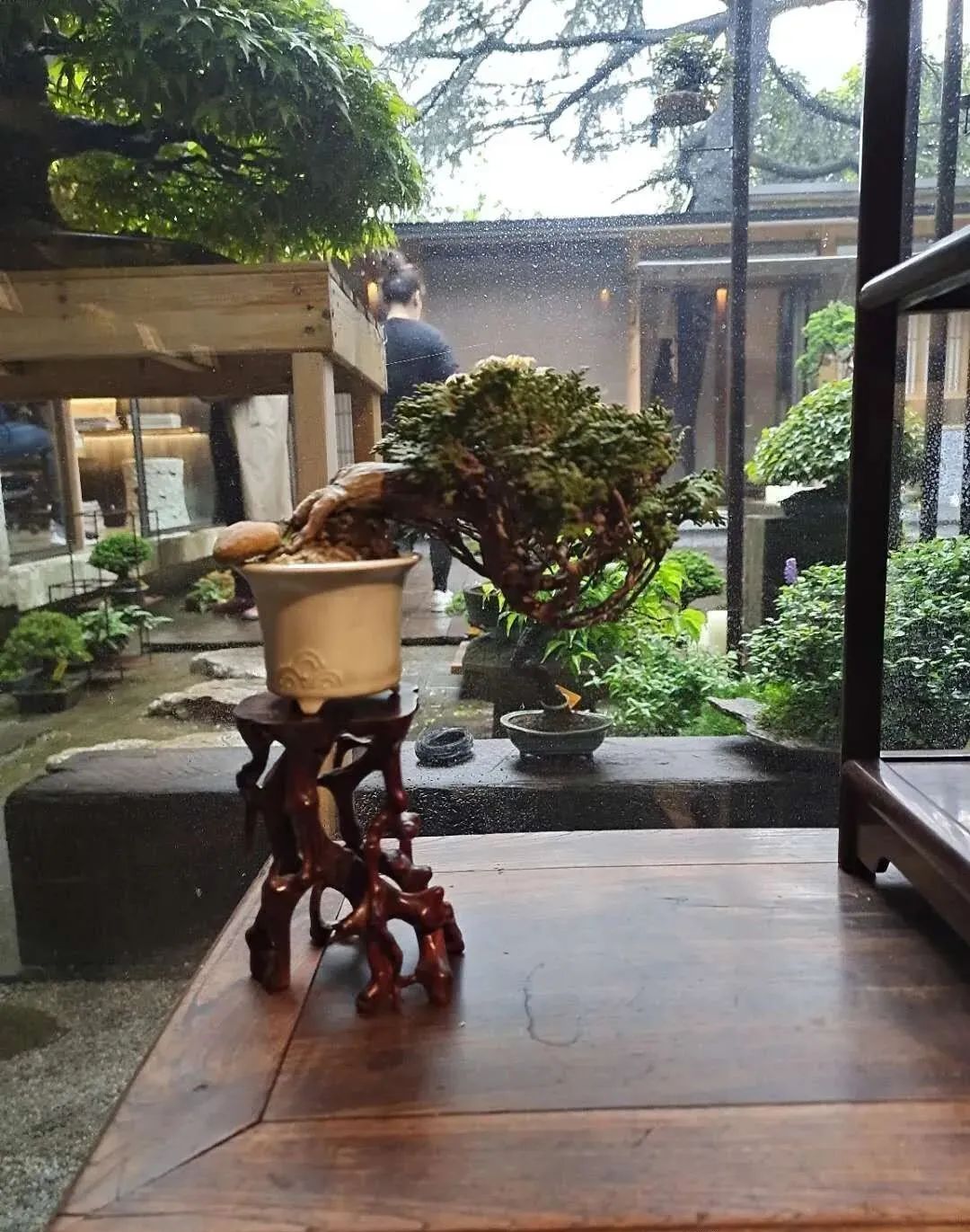 老了,找几个志同道合的知己建个院子,“同居式”养老,太美了!