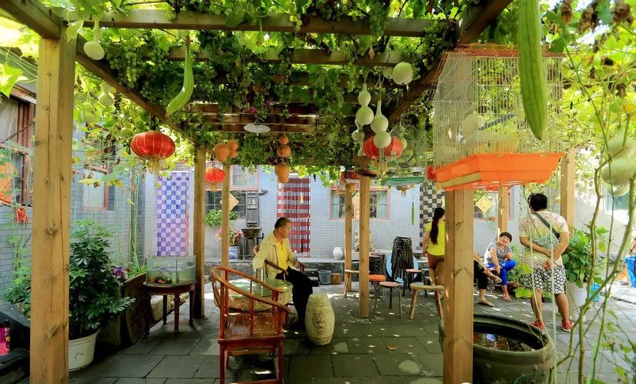 老了,找几个志同道合的知己建个院子,“同居式”养老,太美了!