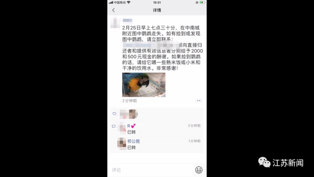  民警发现，这是一只金刚鹦鹉，国家重点保护动物。