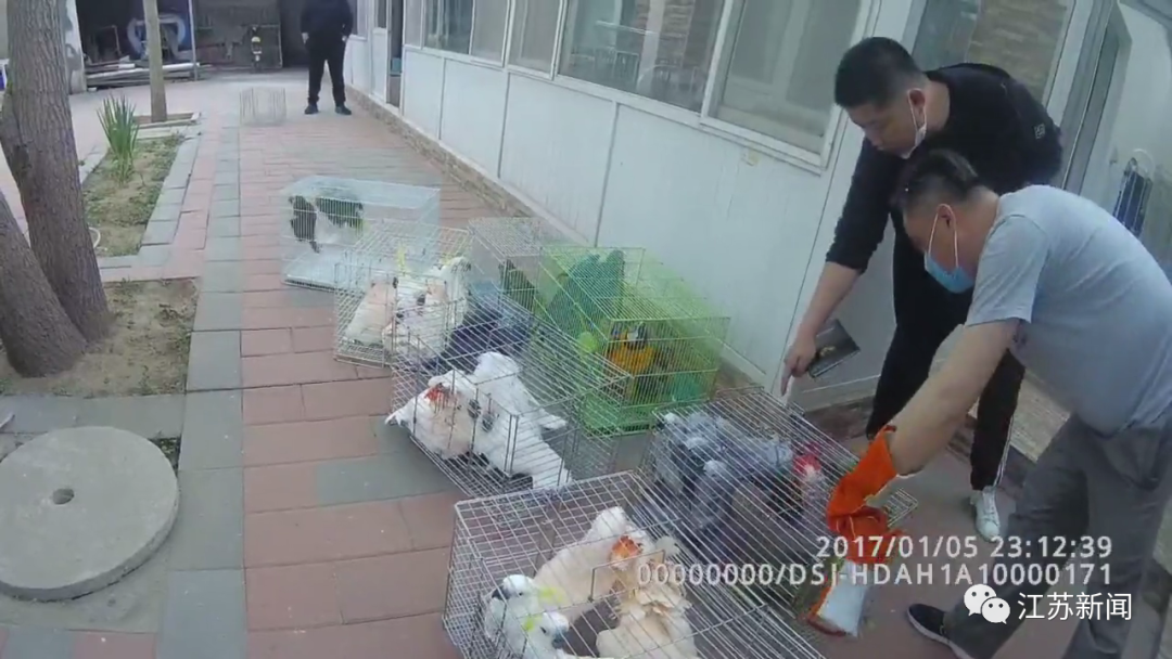 男子朋友圈发了一则寻鸟启事 54人被抓