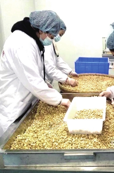 甘肃省中医药防治新冠肺炎报道(上) 驱毒治疫 甘肃中医方剂大显身手