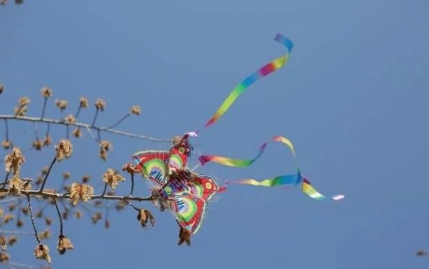 沈阳故宫博物院、张氏帅府博物馆景区开放公告