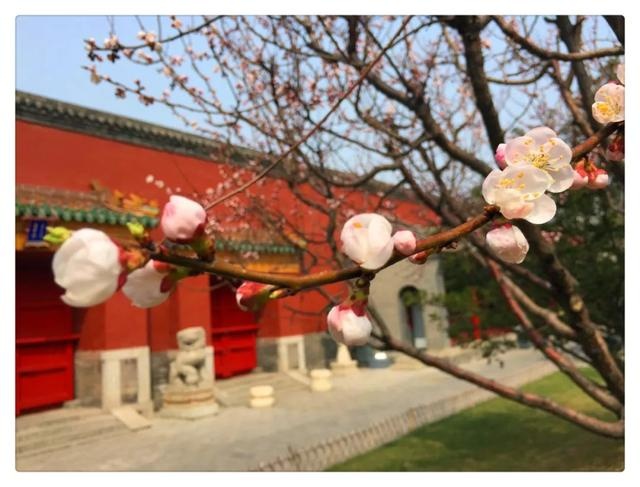 沈阳故宫博物院、张氏帅府博物馆景区开放公告
