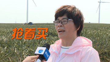 「」菠萝菠萝菠萝菠萝菠萝菠萝的海！