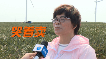 「」菠萝菠萝菠萝菠萝菠萝菠萝的海！