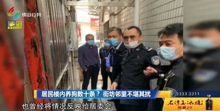 楼顶天台成“空中养狗场”!邻居天天“望狗兴叹”