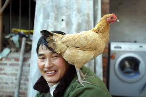 朱之文旧照,图源网络
