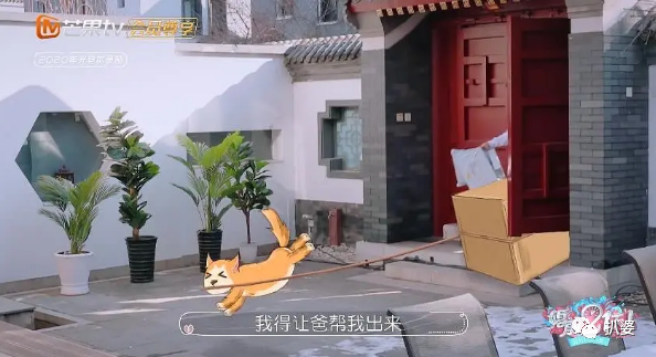 奔着秀恩爱来的,结果她的婚姻却被吐槽让人窒息了
