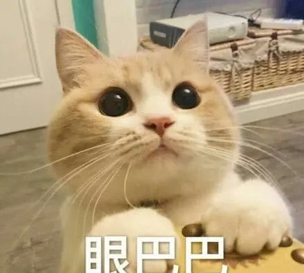 爱豆们的“恋爱循环”这么乱吗?