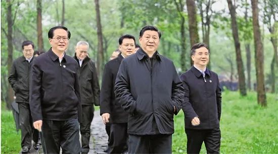 出社会以后-挂机方案东风又绿江南岸习近平总书记在浙江观察纪实|浙江|西溪国家湿地公园_新浪新 ...挂机论坛(1)
