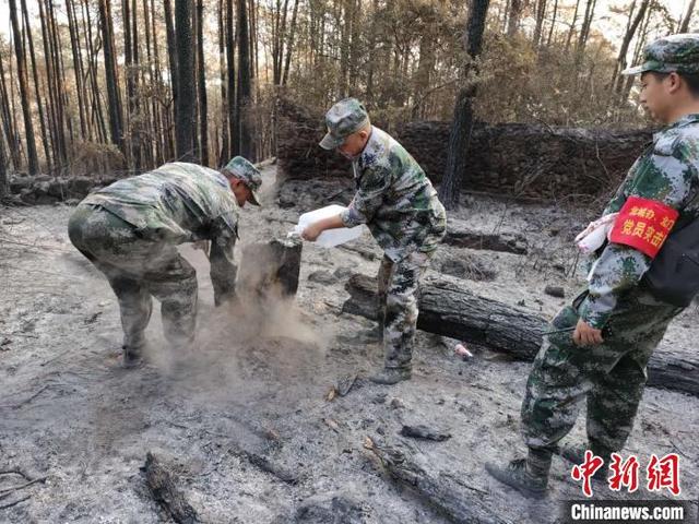四川西昌经久乡森林火灾未发生复燃 暂无烟点
