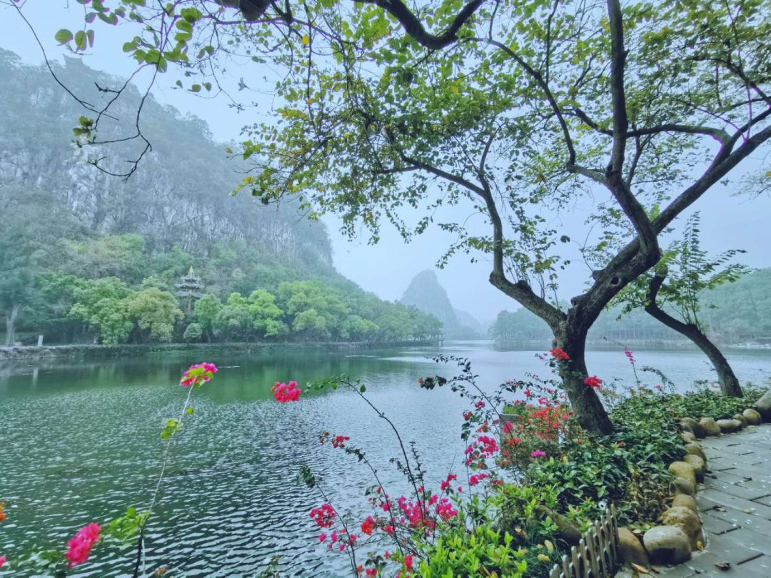 烟雨朦胧,宛若仙境,肇庆又双叒叕美出了新高度!