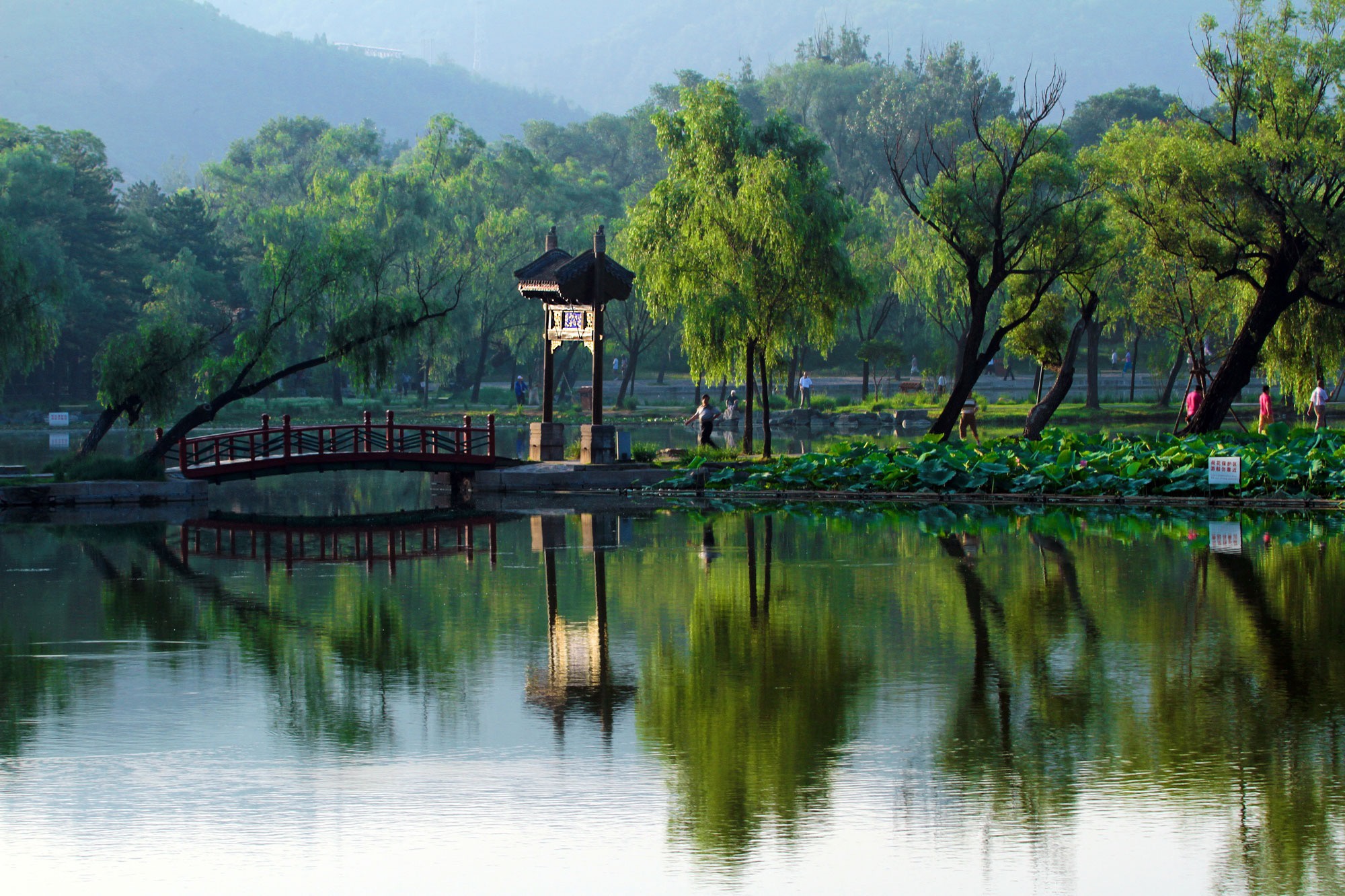 江西宜春市靖安县三坪乡，酷热天好去处，山清水秀，又美又凉快__财经头条