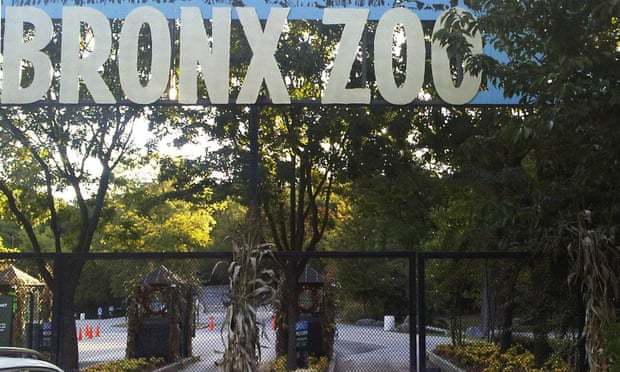 ���ʿ�˹����԰��ͼ�ݡ�������