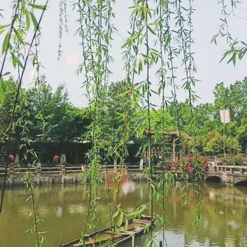 天天养生 ▏清明时节雨纷纷,养生以调肝除湿为首