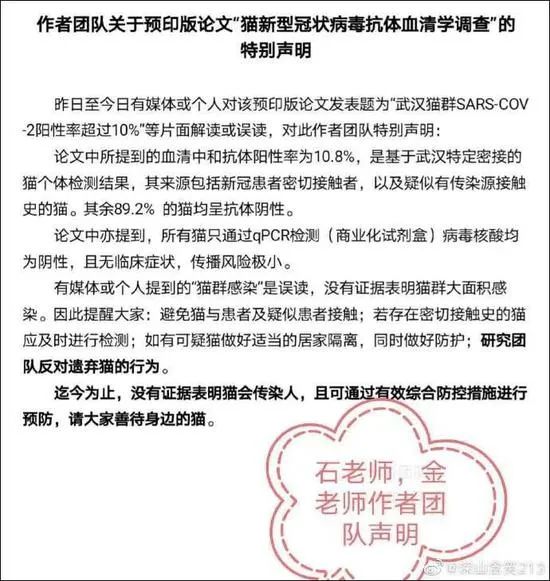 不敢相信!14.7%猫已感染新冠病毒?还会传染人?你更需要当心的是…