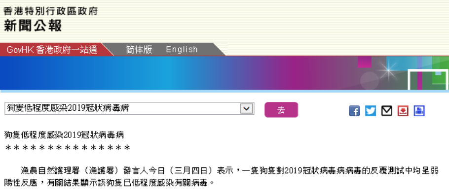 不敢相信!14.7%猫已感染新冠病毒?还会传染人?你更需要当心的是…