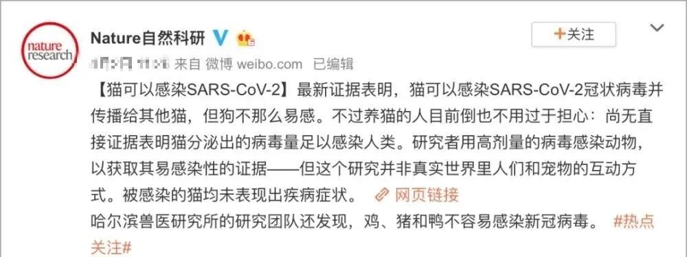 不敢相信!14.7%猫已感染新冠病毒?还会传染人?你更需要当心的是…