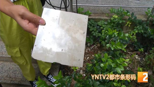 天降瓷砖砸伤住户致偏瘫 昆明一小区240户业主成被告