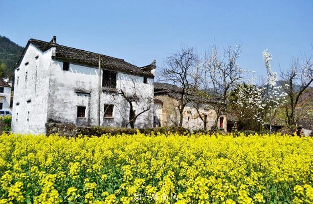 旅行爱好者必备神器,高清AI秒速换装,4厘米微距功能超强大
