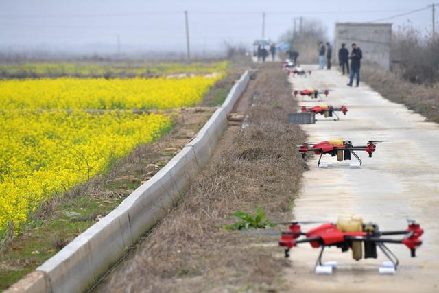育秧厂、传感器、监测站……农民种田用起这些“新设施”