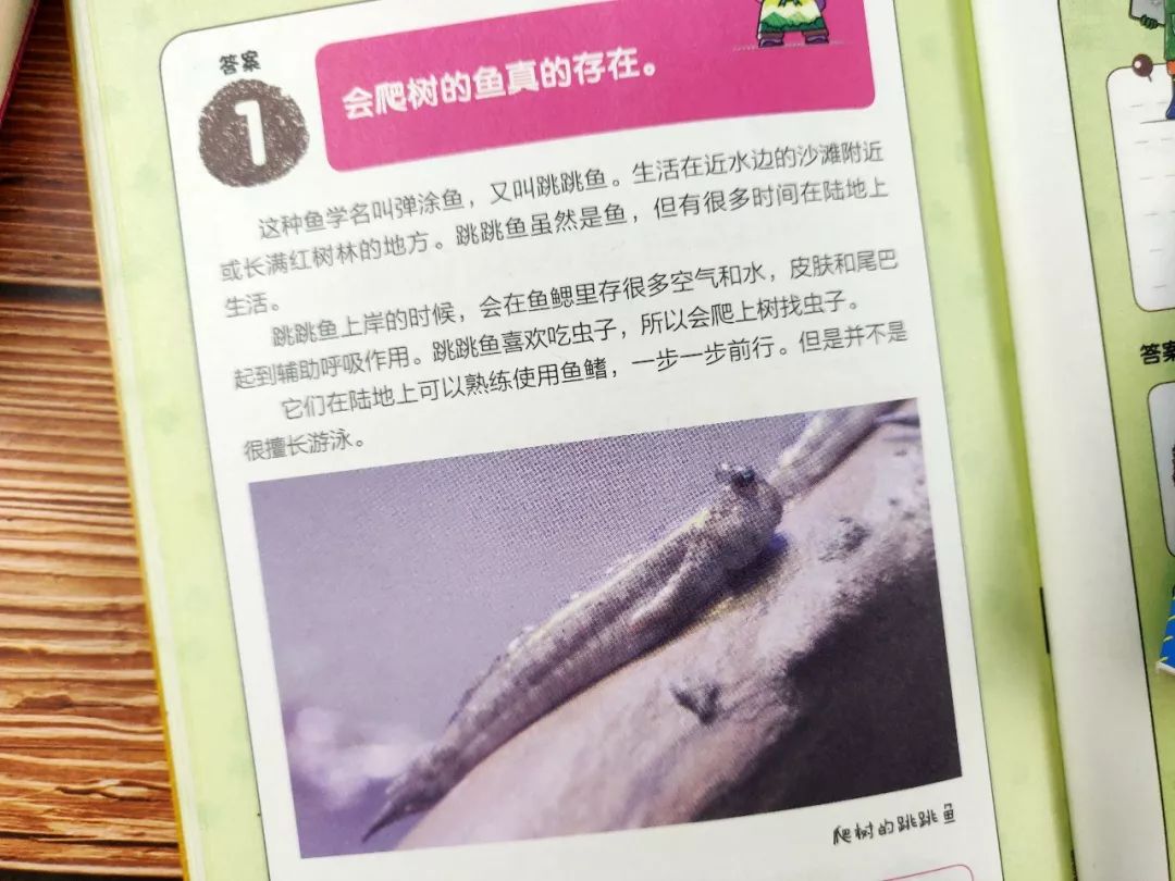 返团 | 19年拿下19个诺贝尔奖,日本的小学生都在看什么?